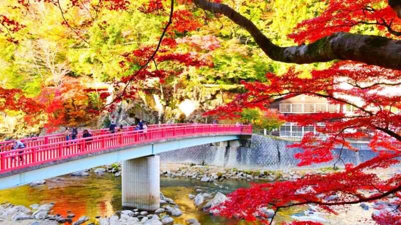 【保存版】愛知県の大自然に癒される絶景観光スポット8選 | tabemaro（たべまろ）