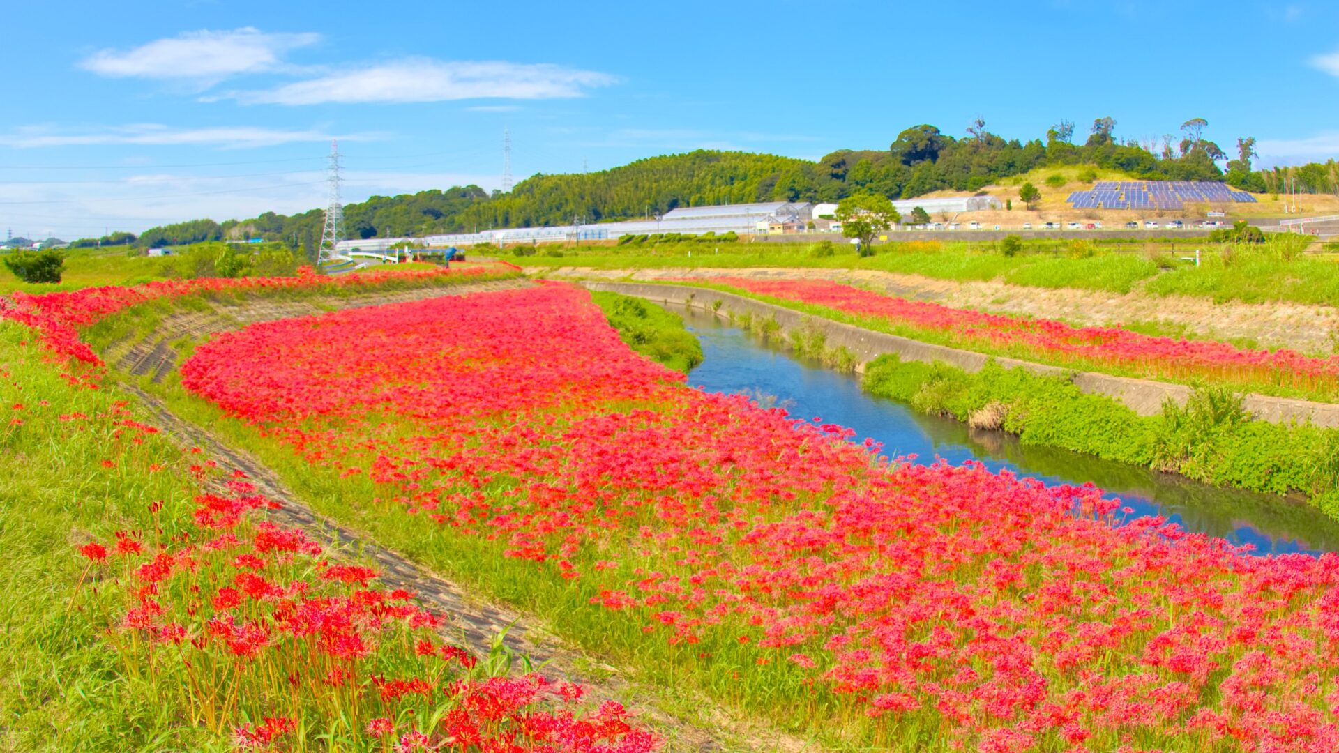 知多半島の観光スポット14選!ドライブにぴったりな絶景やグルメをご紹介 | tabemaro(たべまろ)